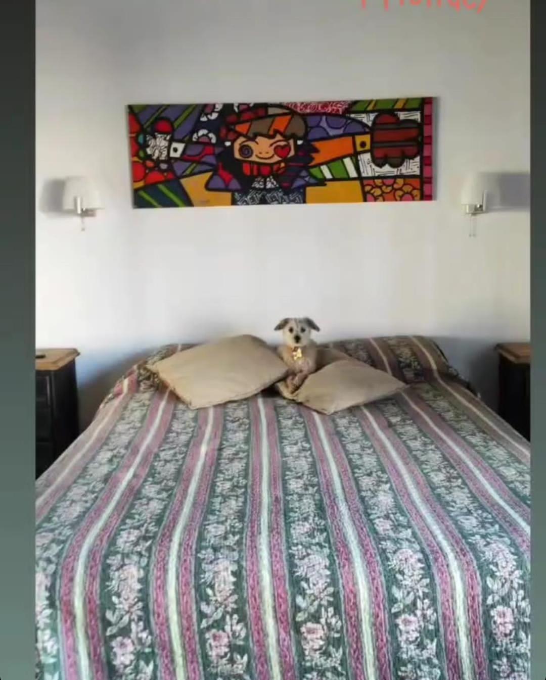 Holiday home Ruka Baradero